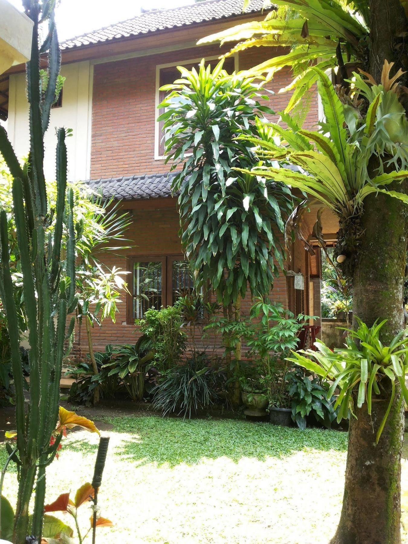 Ben'S Homestay Ubud Kültér fotó