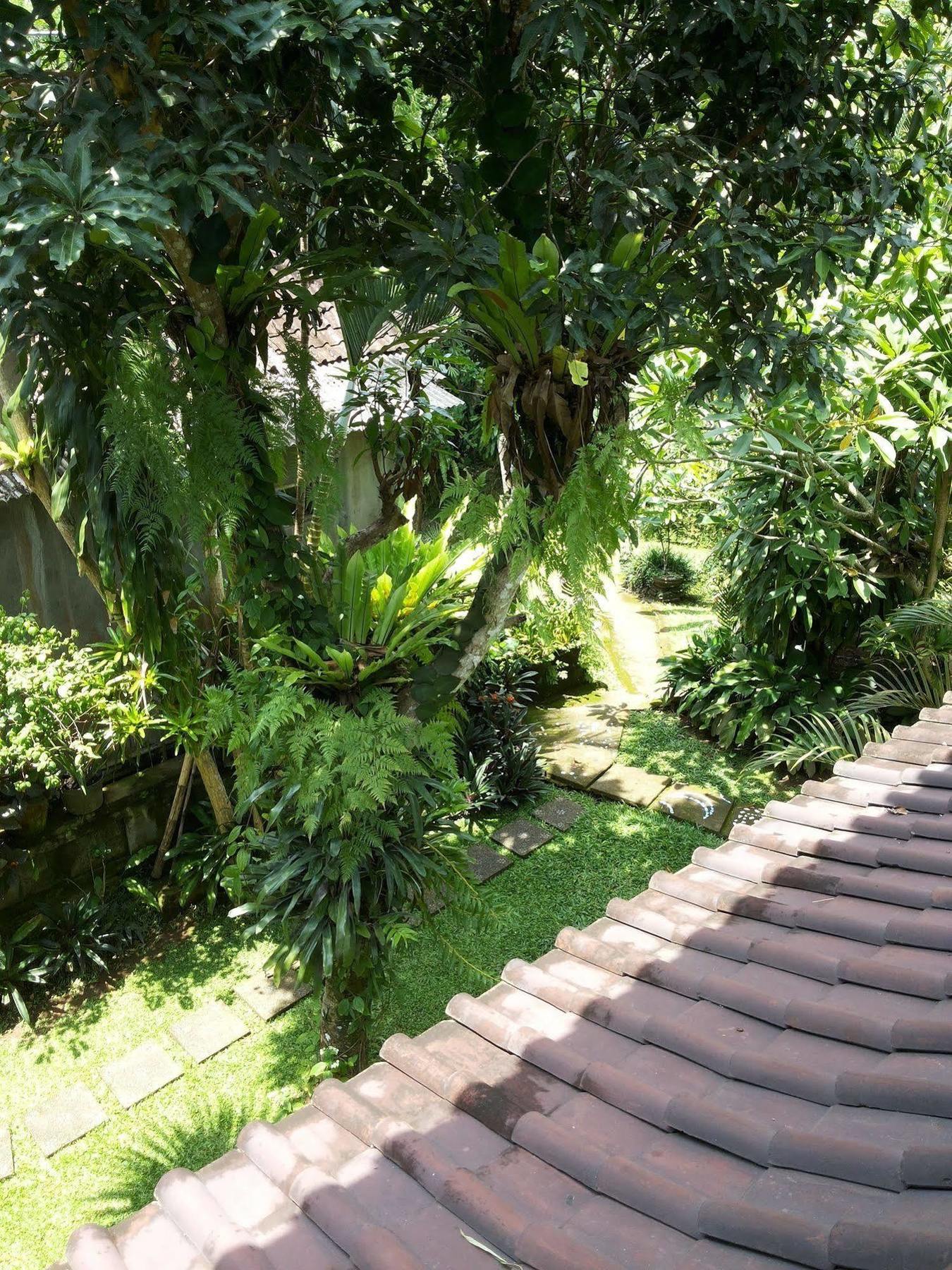 Ben'S Homestay Ubud Kültér fotó