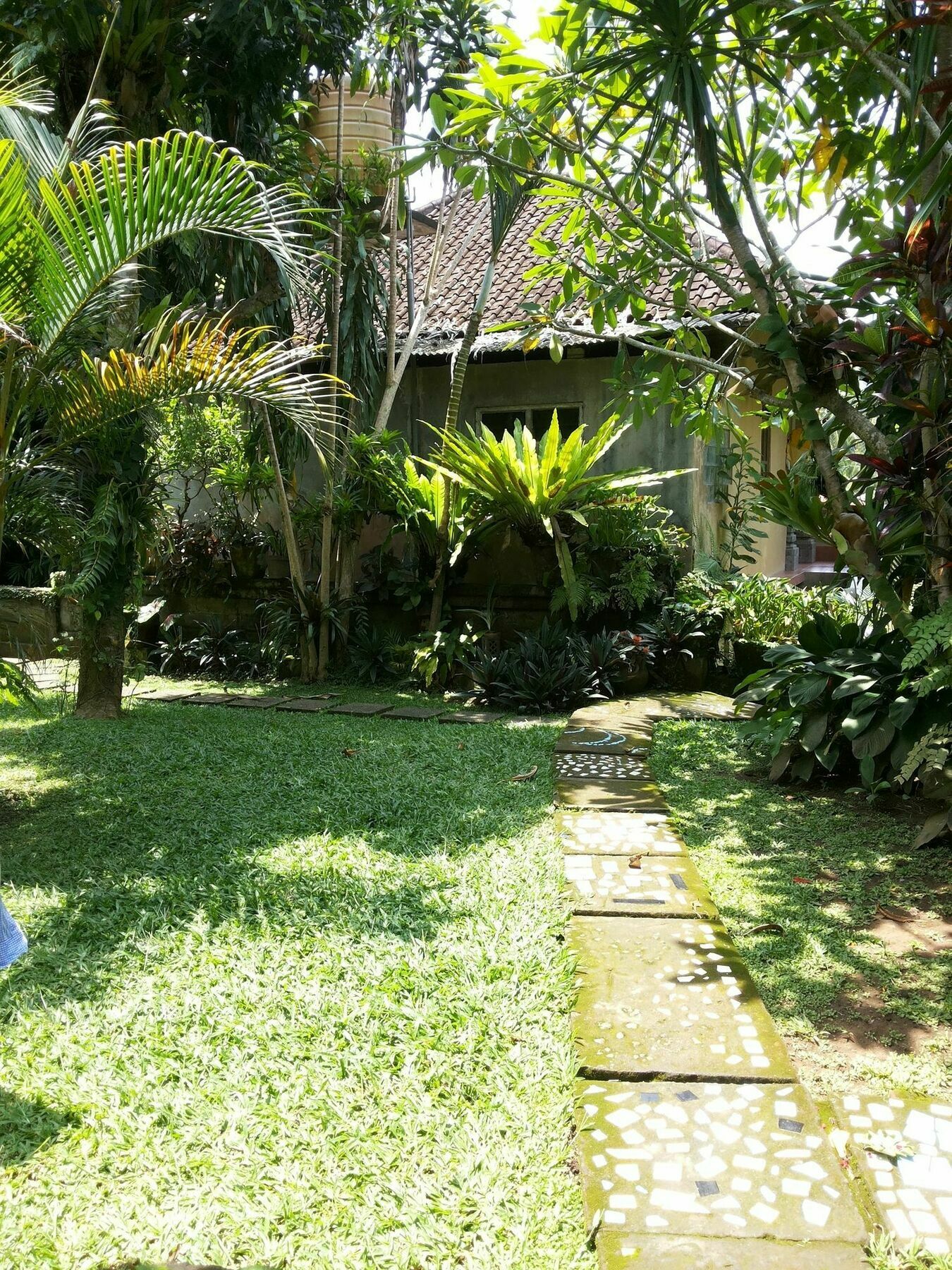 Ben'S Homestay Ubud Kültér fotó